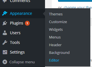 WordPress Editor Option