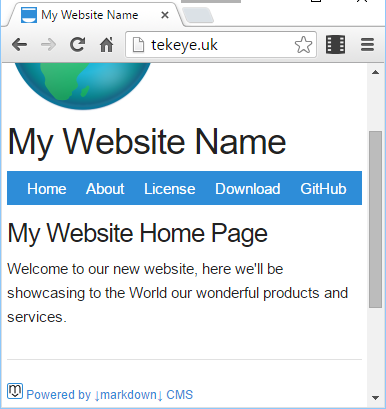 Example website home page.