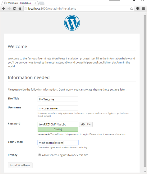 WordPress First Install Page